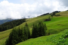 DSC02165